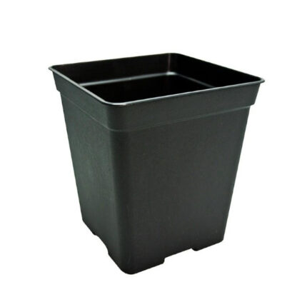 Pot carré plastique 1.65L - 13x13x14cm