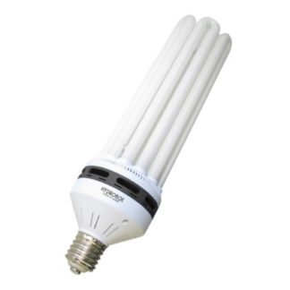 Ampoule CFL